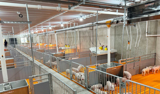 Proyecto de granja de 2.000 cerdas en Malasia