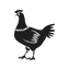 Estuches para equipos de pollos de engorde
