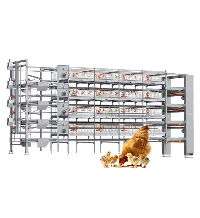 Productos de pollos de engorde