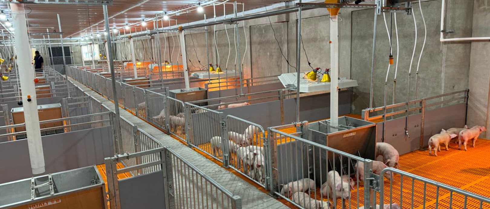 Proyecto de granja de 2.000 cerdas en Malasia