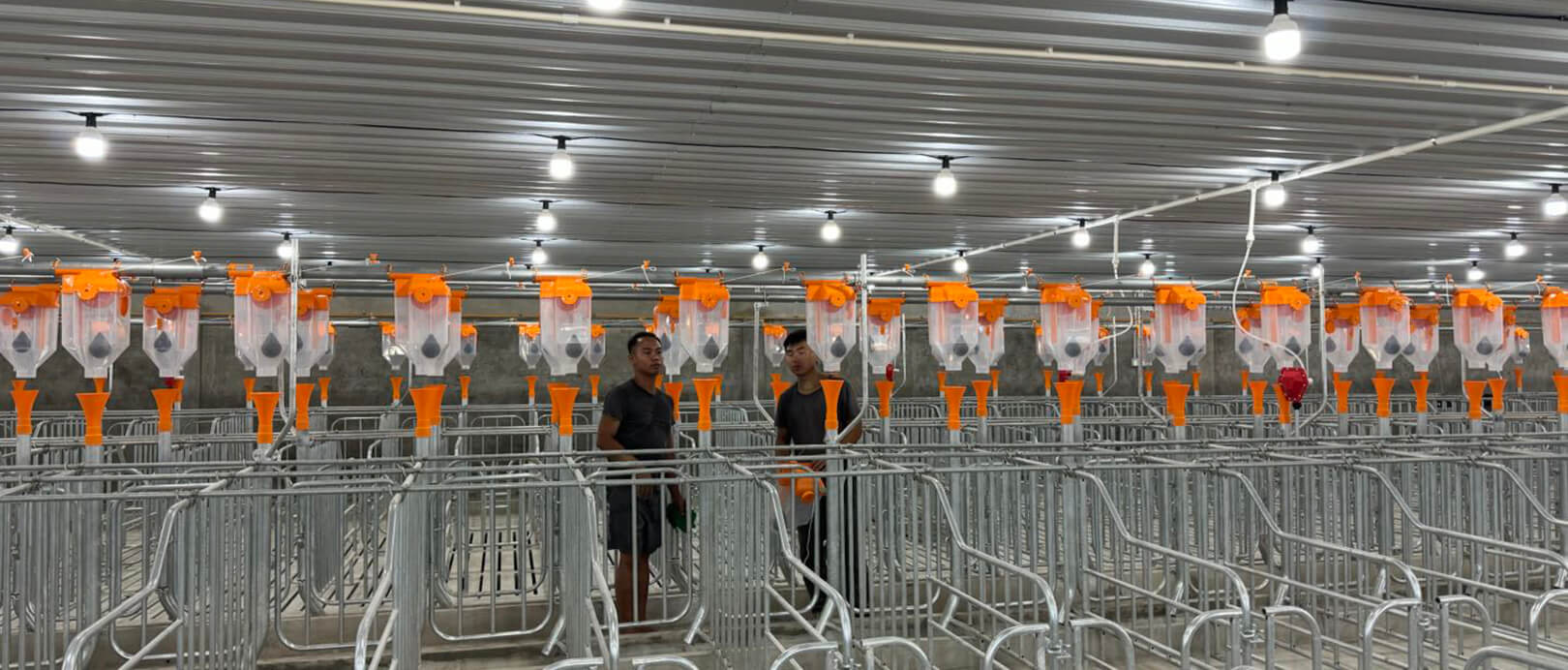 Proyecto de granja de 2.000 cerdas en Malasia