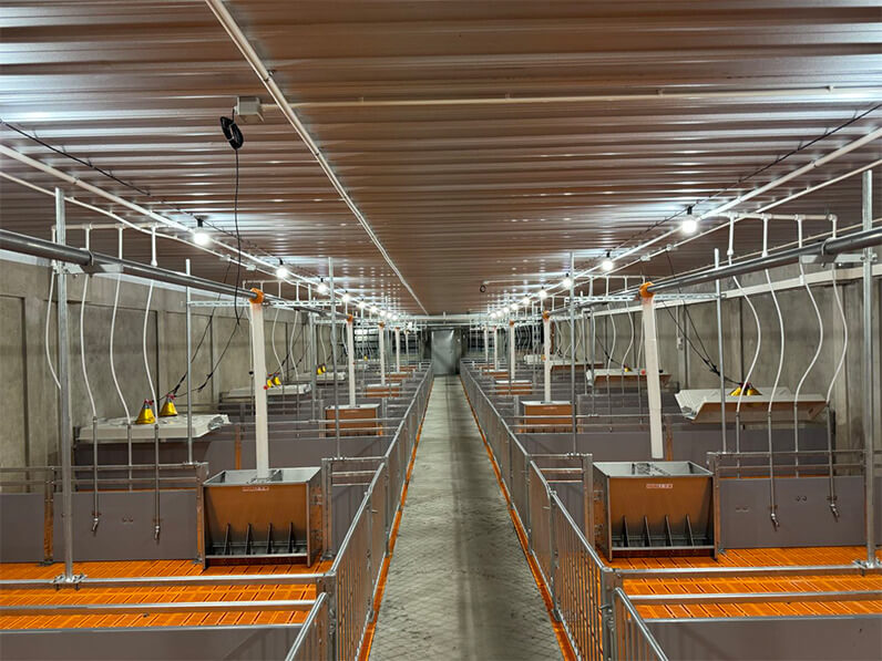 Proyecto de granja de 2.000 cerdas en Malasia