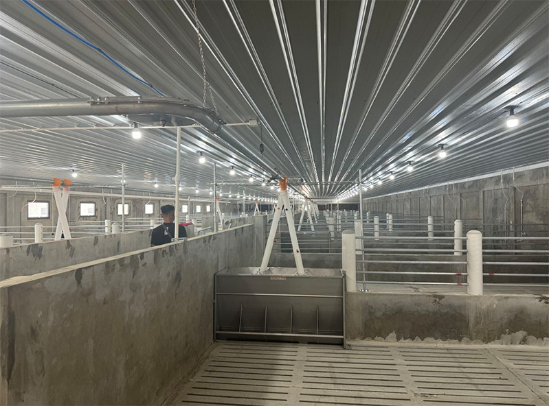 Proyecto de granja de 2.000 cerdas en Malasia