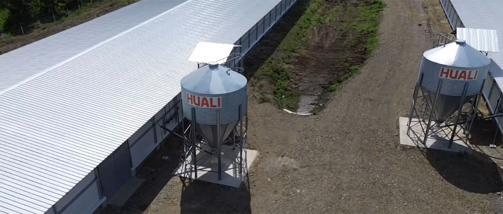 Proyecto de cr&iacute;a de pollos de engorde en suelo en Ecuador