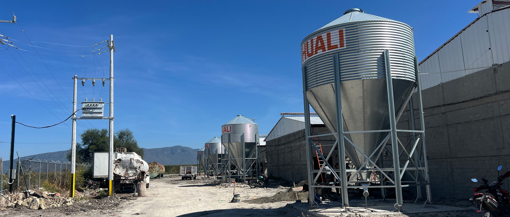 Proyecto de cr&iacute;a de gallinas ponedoras en jaulas en M&eacute;xico