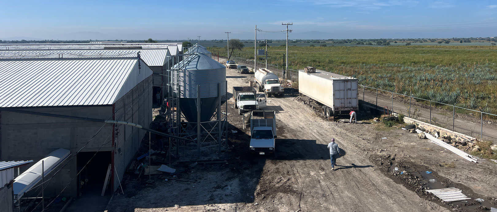 Proyecto de cr&iacute;a de gallinas ponedoras en jaulas en M&eacute;xico