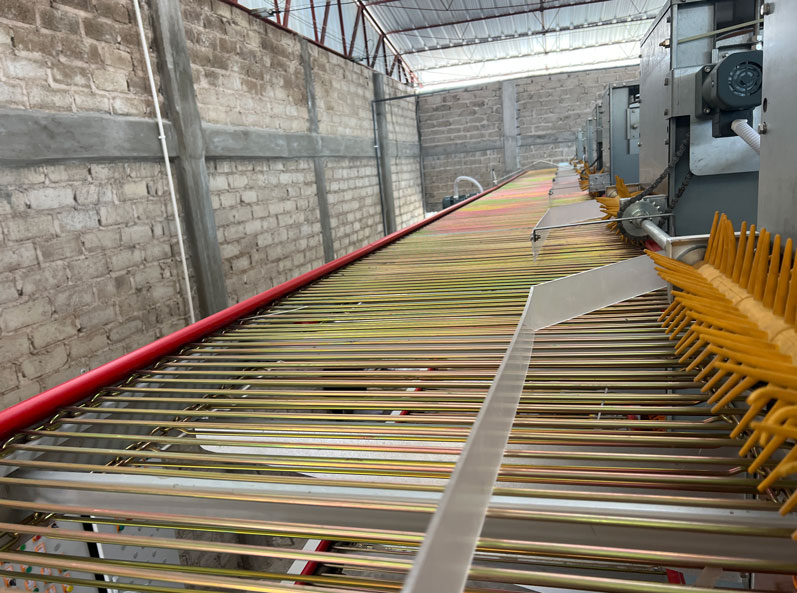 Proyecto de cr&iacute;a de gallinas ponedoras en jaulas en M&eacute;xico