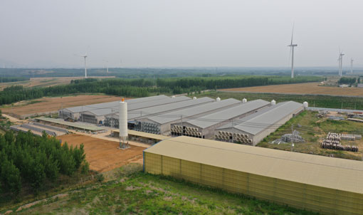 Proyecto de jaulas de capas GaoTianRan de Qingdao