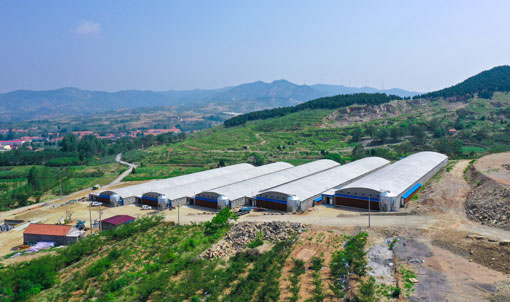 Proyecto de cr&iacute;a de patos en jaulas para carne en Shandong