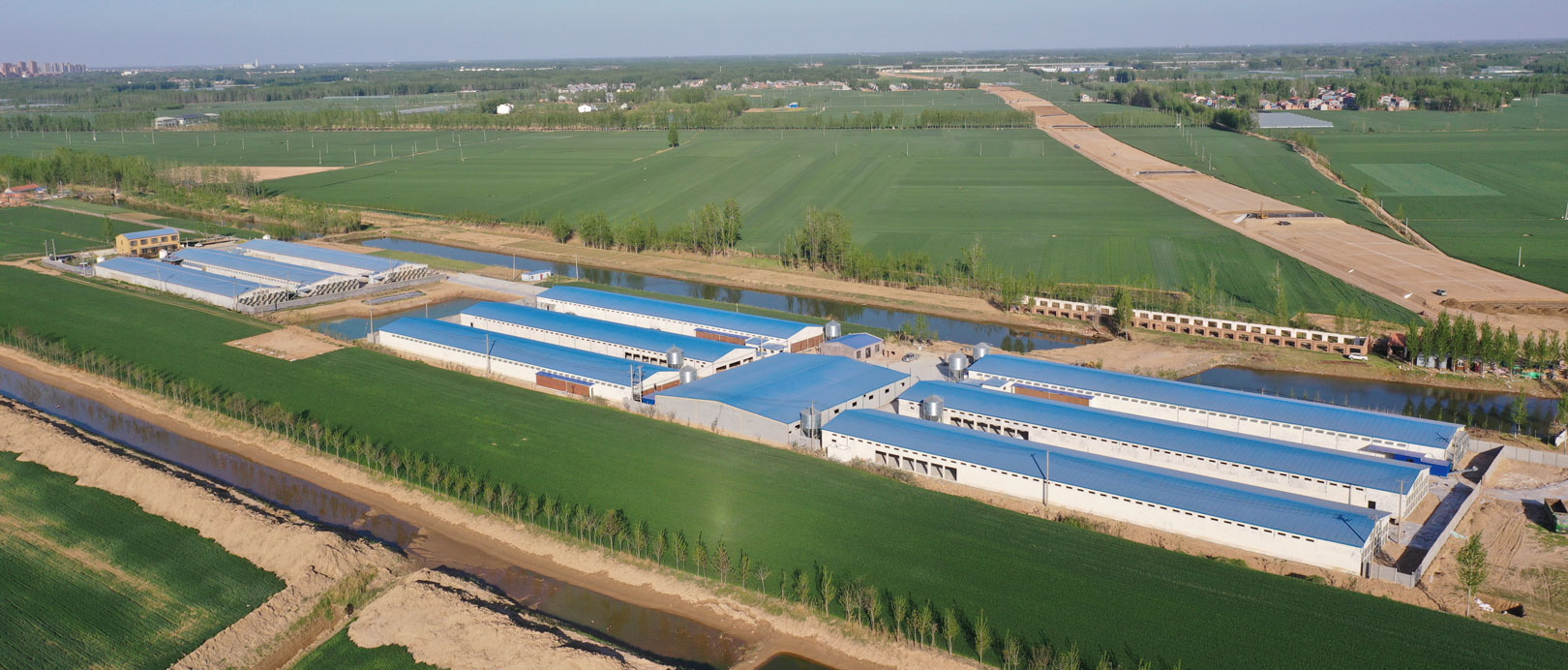 Proyecto de cultivo en jaulas de ponedoras TianYuan