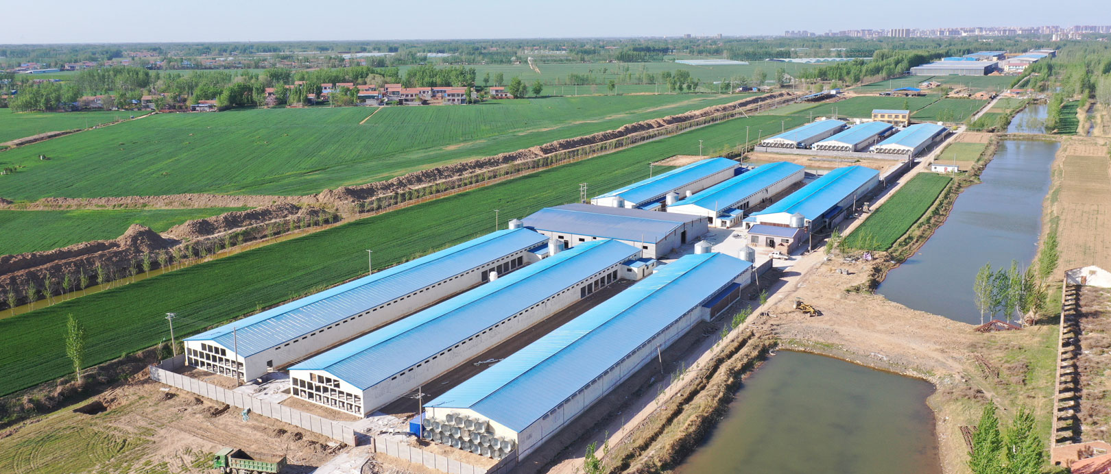 Proyecto de cultivo en jaulas de ponedoras TianYuan