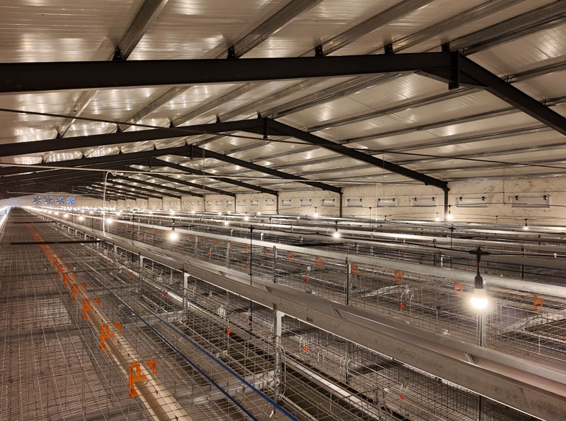 Proyecto de cultivo en jaulas de ponedoras TianYuan