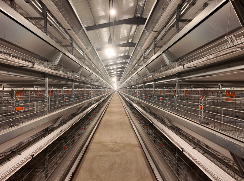 Proyecto de cultivo en jaulas de ponedoras TianYuan