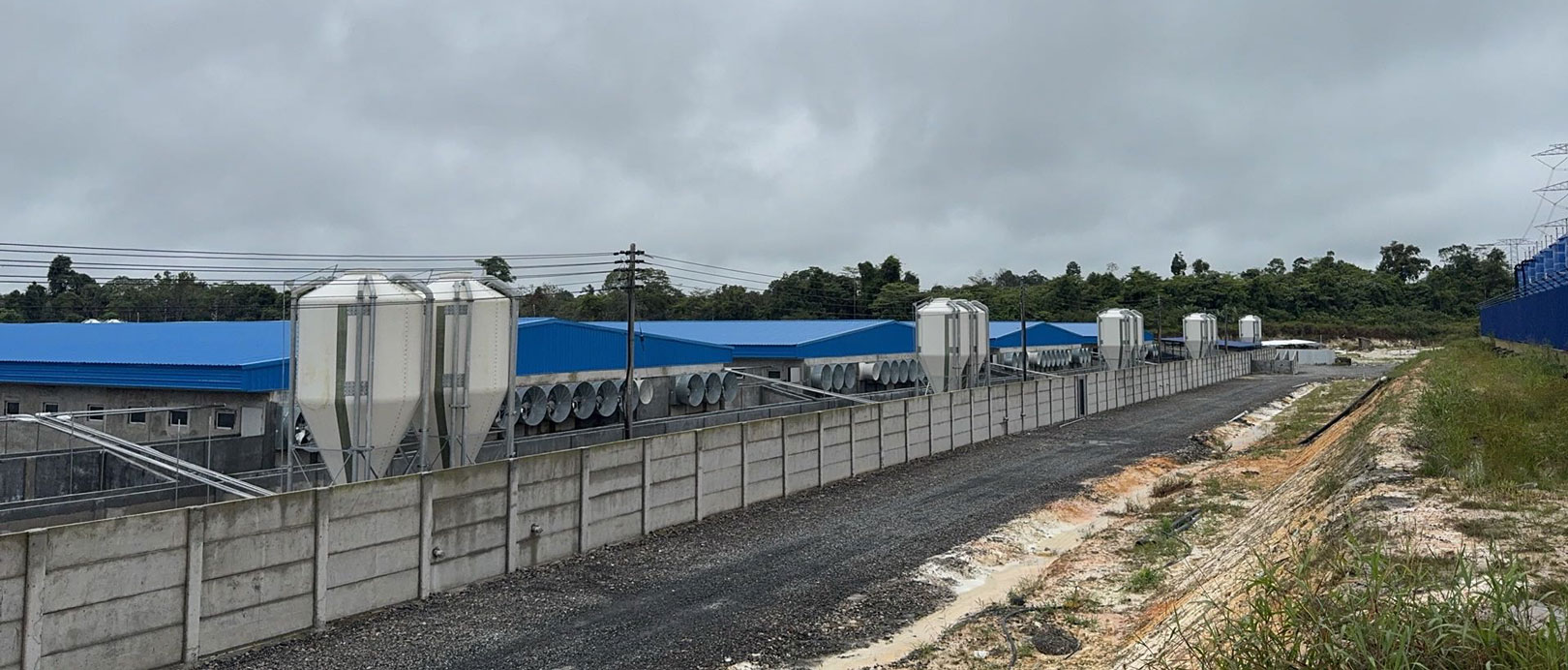 Proyecto de granja de 2000 cerdas en Malasia