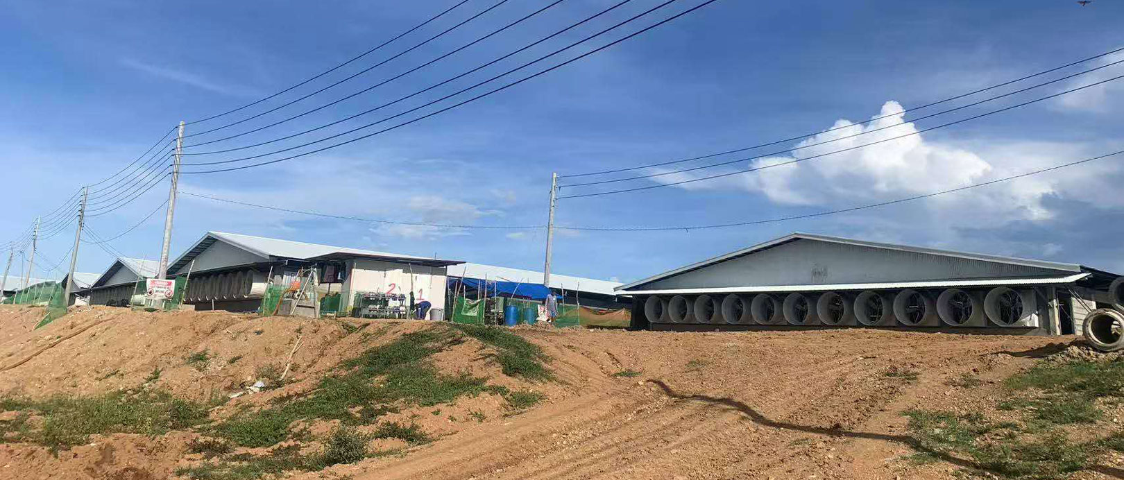 Proyecto de granja de 3000 cerdas en Filipinas