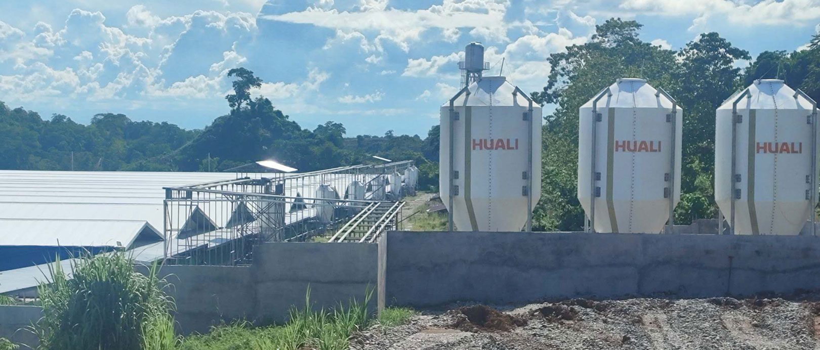 Proyecto de granja de 3000 cerdas en Filipinas