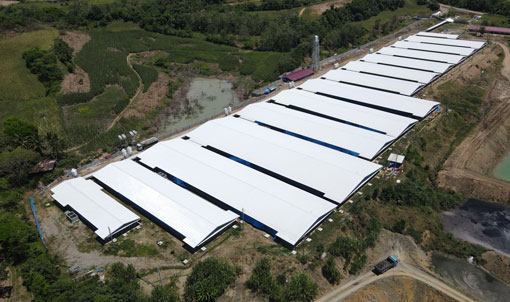 Proyecto de granja de 3000 cerdas en Filipinas
