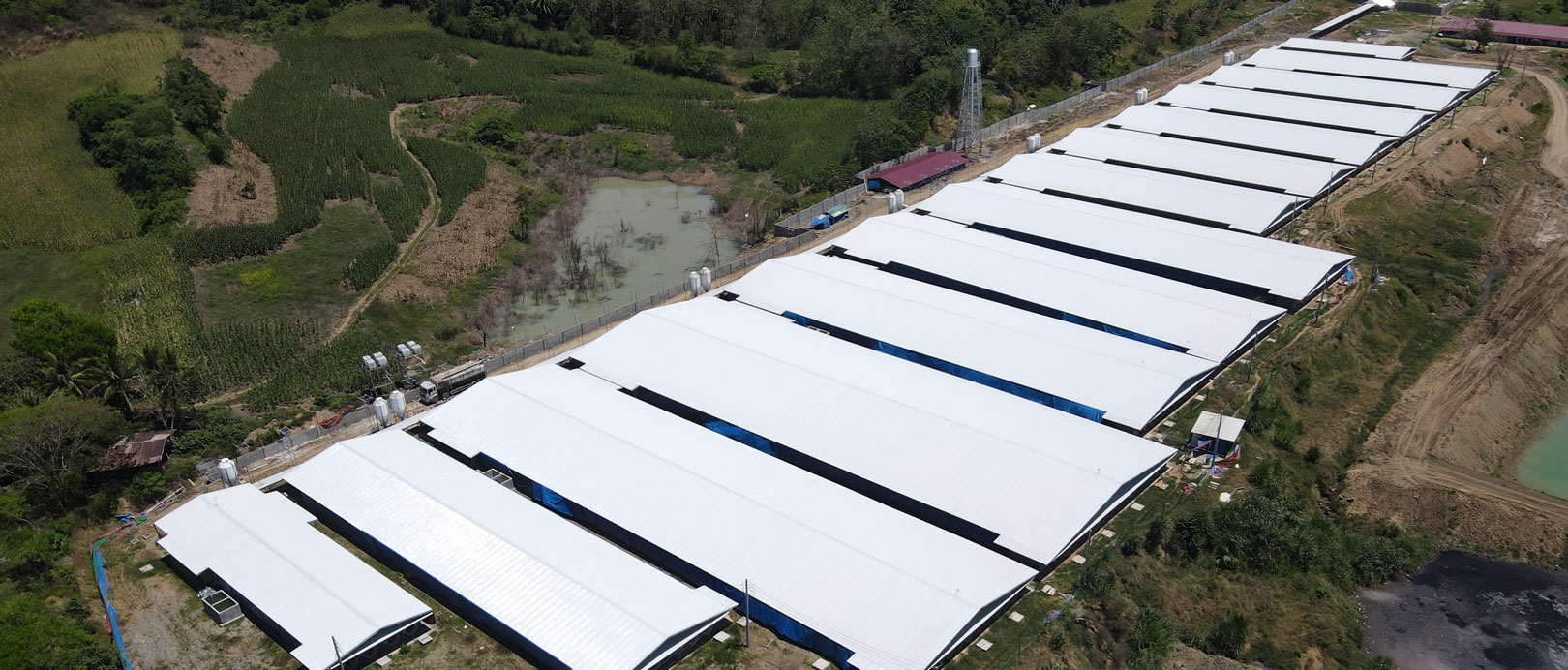 Proyecto de granja de 3000 cerdas en Filipinas
