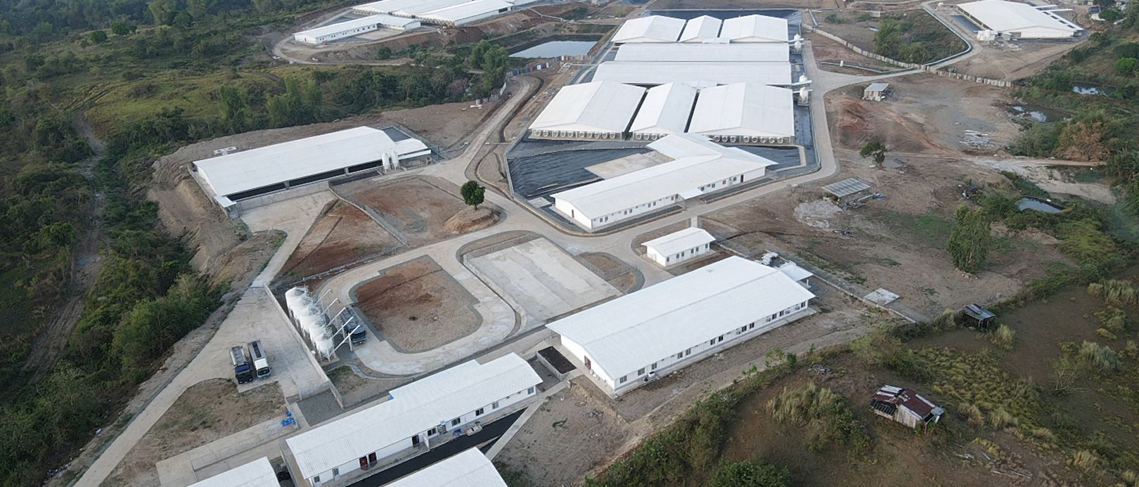 Proyecto de granja de cerdas de 5.000 PS en Filipinas