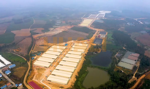 Proyecto de granja de engorde de Vietnam