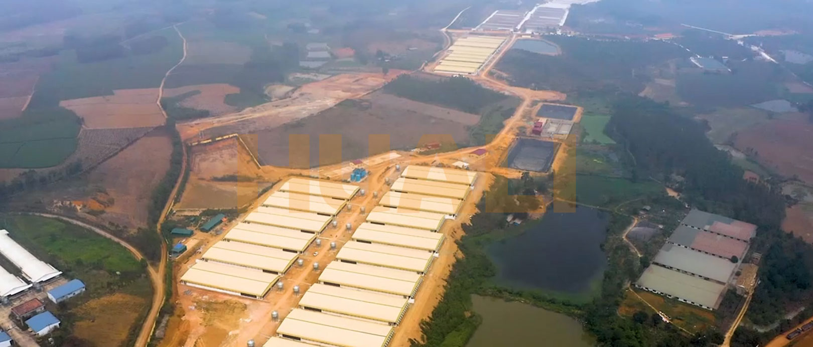 Proyecto de granja de engorde de Vietnam
