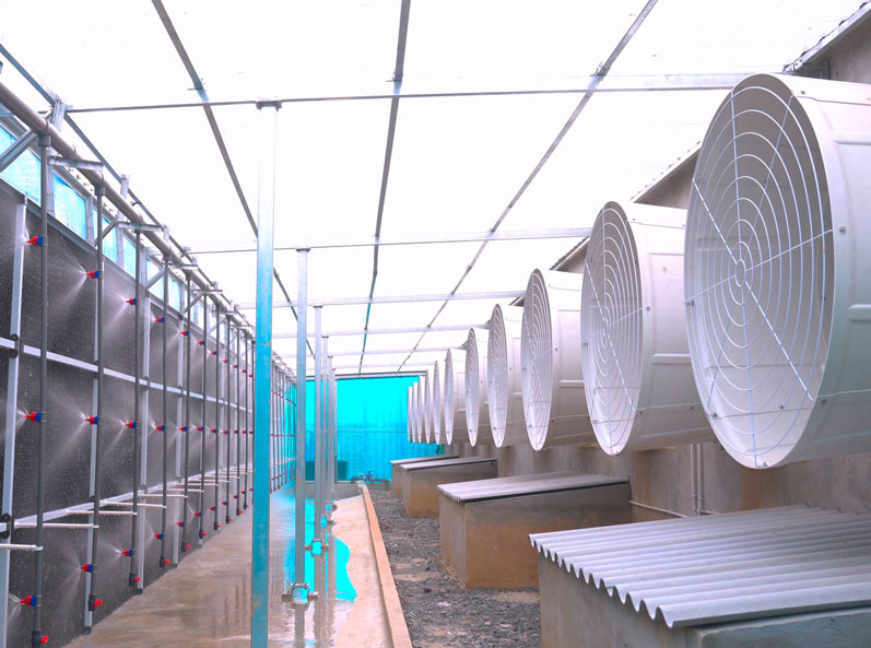 Proyecto EPC de equipos para granjas porcinas en Vietnam
