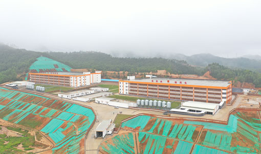 Proyecto de granja porcina de varios pisos de Jinxinnong, Guangdong