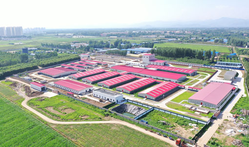 Base experimental del proyecto ganadero de la Universidad Agr&iacute;cola Central de Zhuozhou, Hebei
