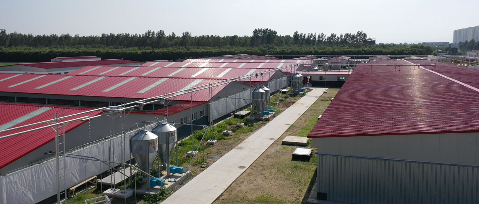 Base experimental del proyecto ganadero de la Universidad Agr&iacute;cola Central de Zhuozhou, Hebei