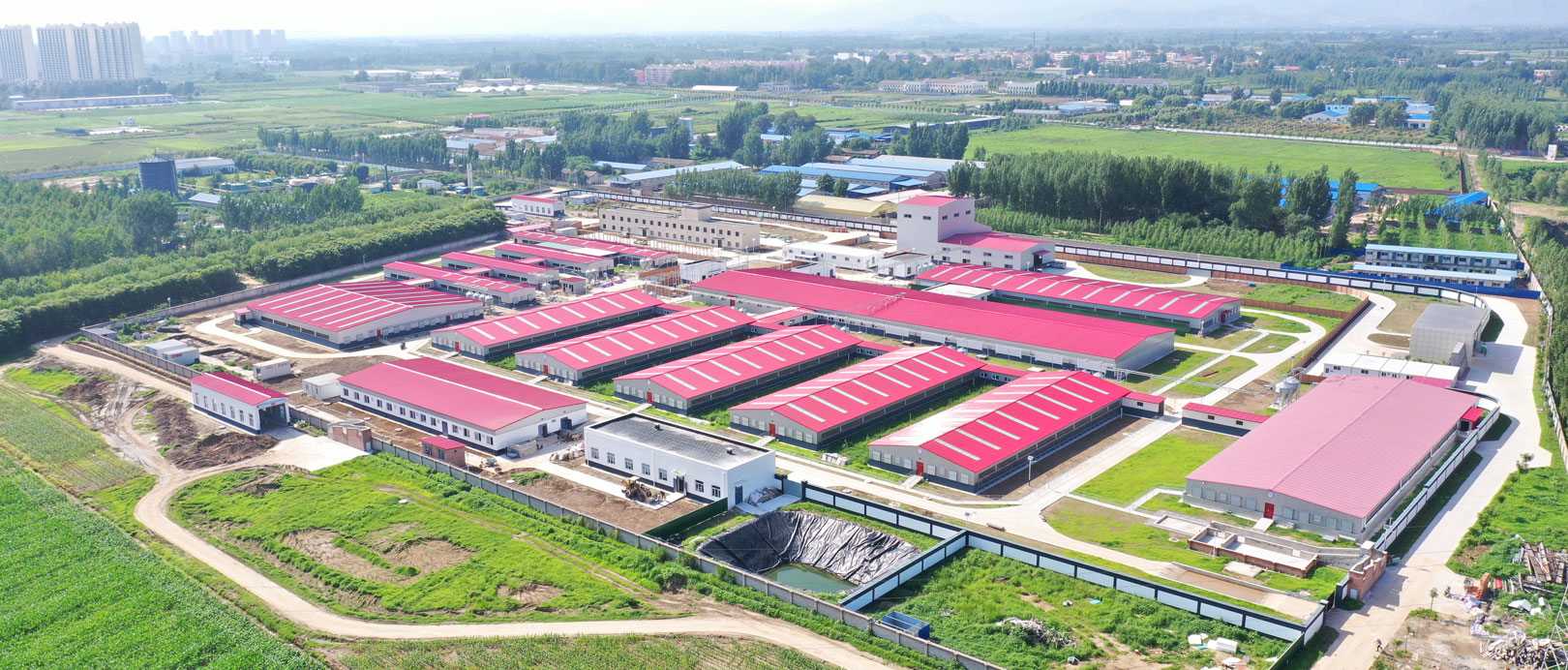 Base experimental del proyecto ganadero de la Universidad Agr&iacute;cola Central de Zhuozhou, Hebei