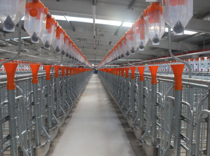 Base experimental del proyecto ganadero de la Universidad Agr&iacute;cola Central de Zhuozhou, Hebei