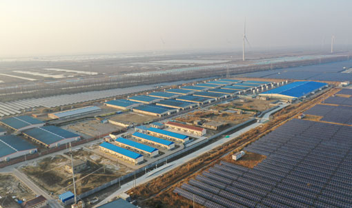 Proyecto de granja de engorde COFCO de Dongtai, Jiangsu