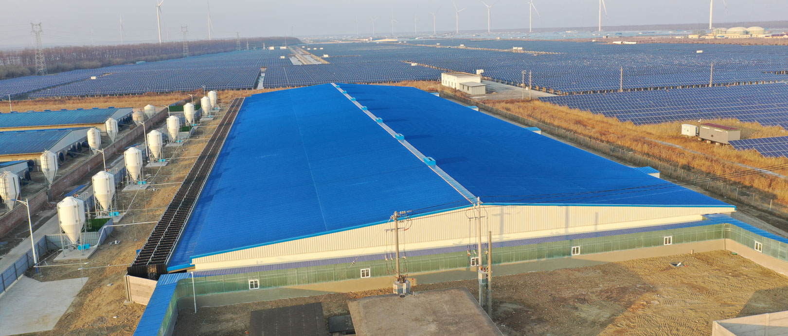 Proyecto de granja de engorde COFCO de Dongtai, Jiangsu