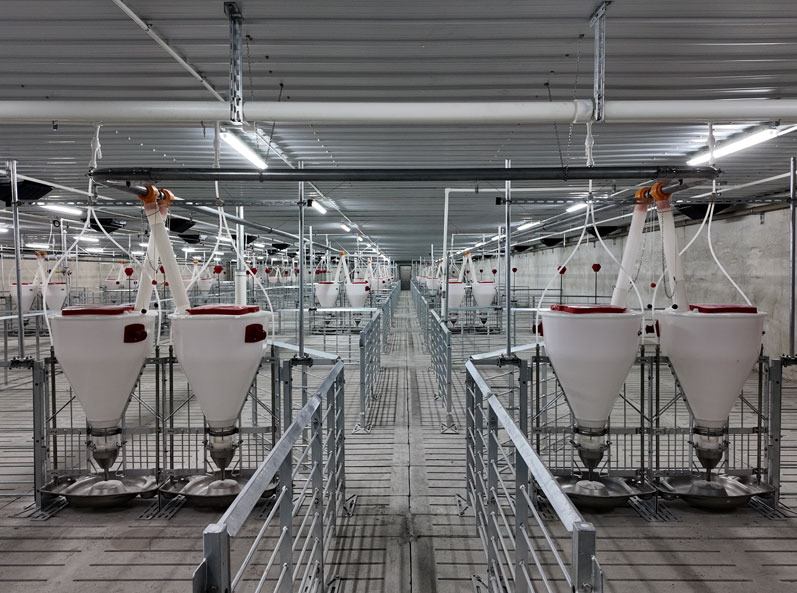 Proyecto de granja de engorde COFCO de Dongtai, Jiangsu