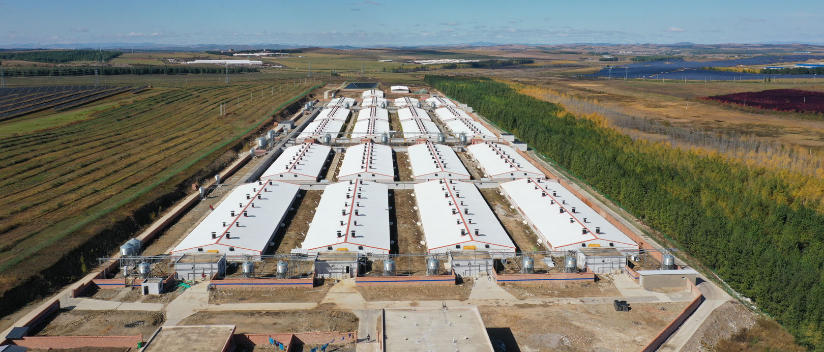 Granja de engorde Keyou Qianqi