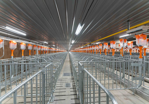 Caja individual