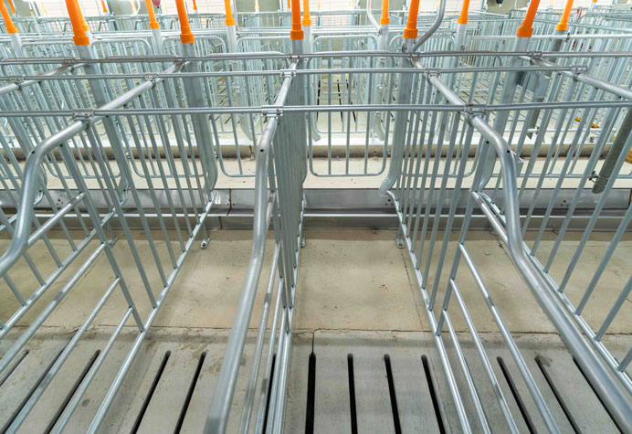 Caja individual