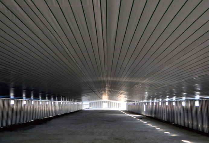 Estructura de acero