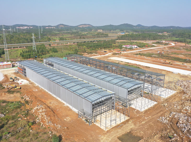 Proyecto de cría de gallinas ponedoras de la cadena completa de Guigang Tongfa, con capacidad para 3,6 millones de aves.