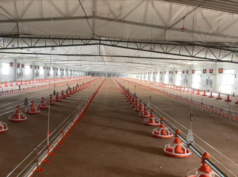 Proyecto de elevaci&oacute;n de piso de doble capa para pollos de engorde WENS