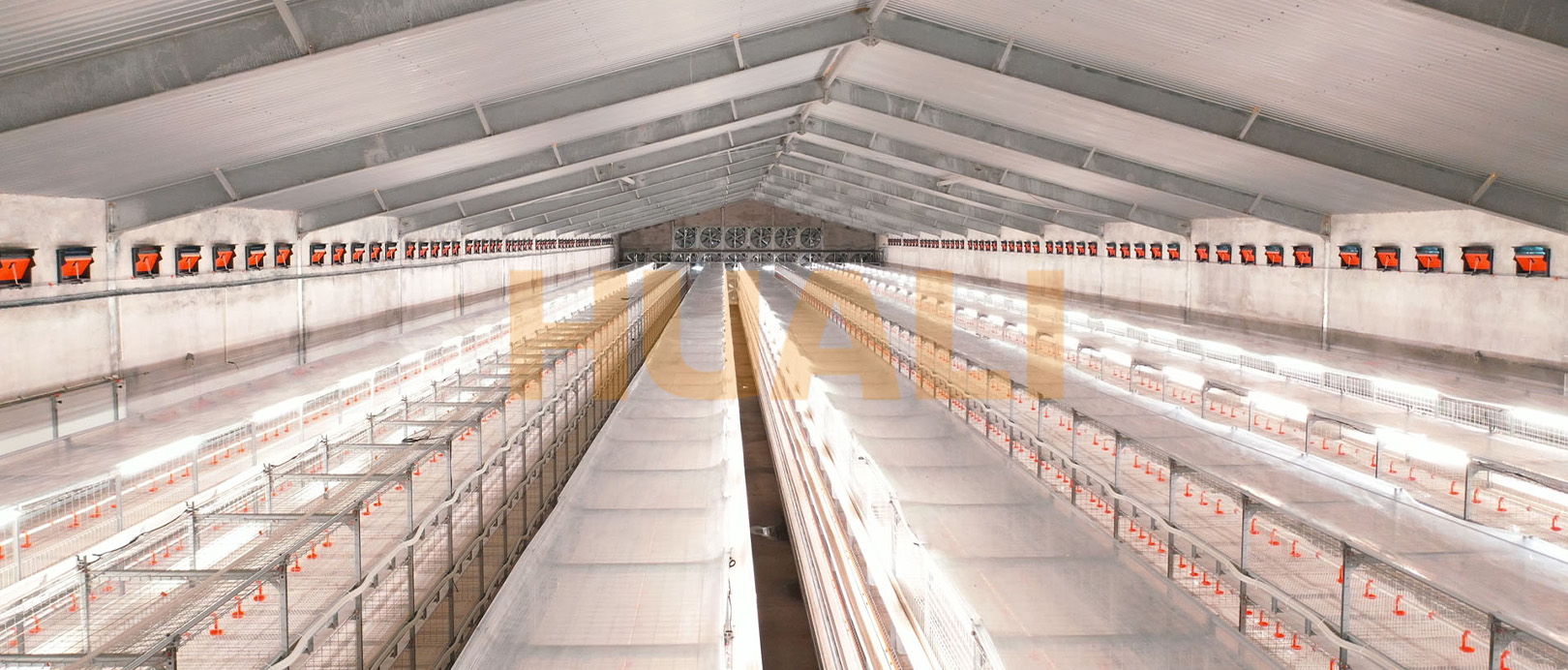 Proyecto de cultivo de jaulas de pollos de engorde de Shandong