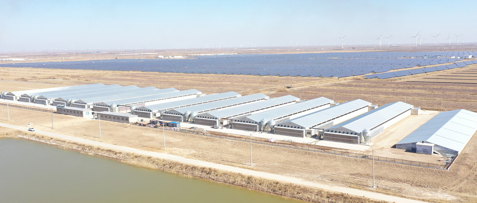 Proyecto de cultivo de jaulas de pollos de engorde de Shandong