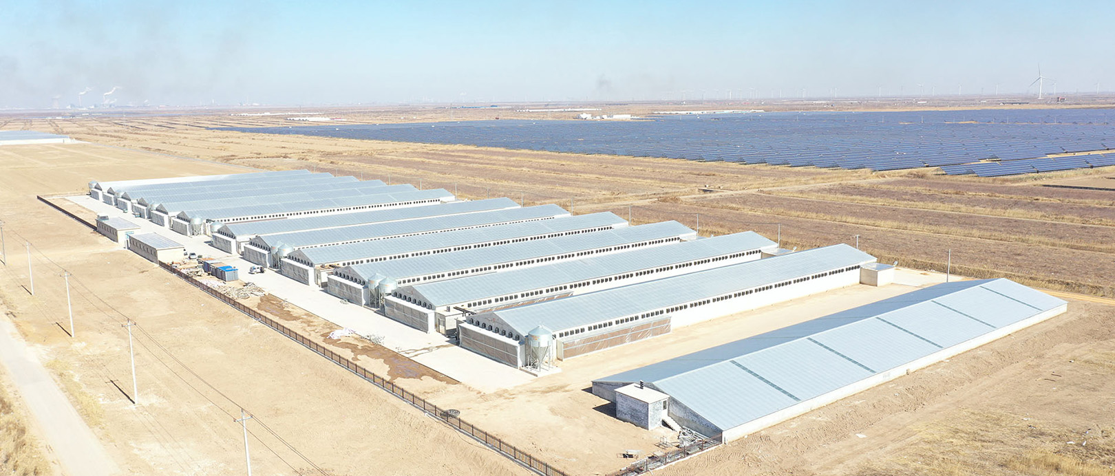 Proyecto de cultivo de jaulas de pollos de engorde de Shandong