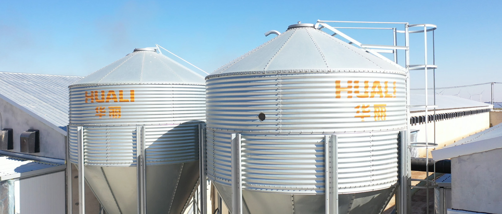 Proyecto de cultivo de jaulas de pollos de engorde de Shandong