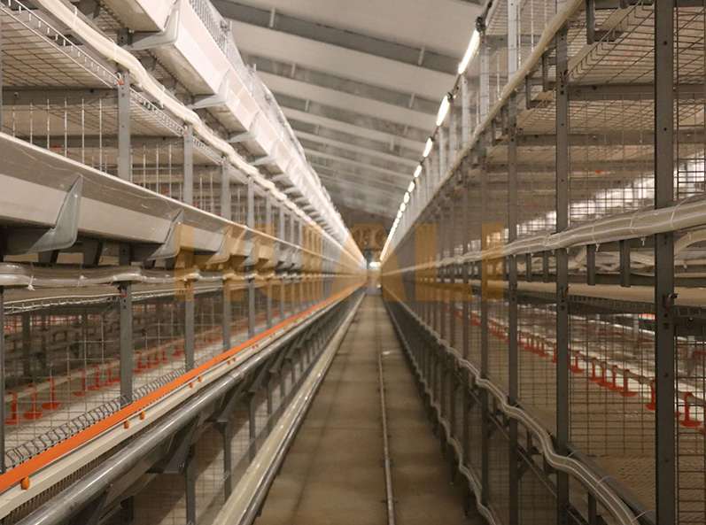 Proyecto de cultivo de jaulas de pollos de engorde de Shandong