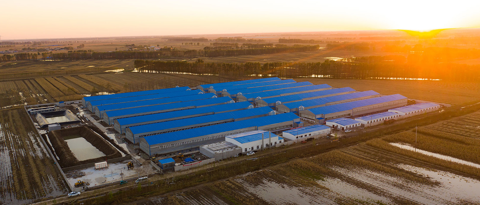 Proyecto de cr&iacute;a de pollos de engorde en jaulas Fuxin Shuanghui