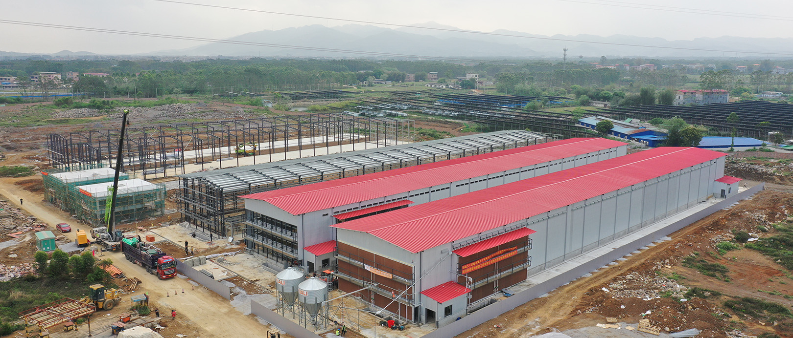 Proyecto de cr&iacute;a de ponedoras en cadena industrial completa de Guigang Tongfa para 3,6 millones de aves
