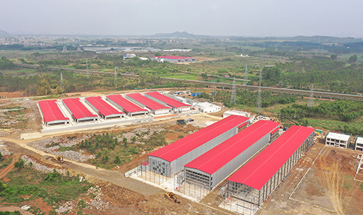 Proyecto de cr&iacute;a de ponedoras en cadena industrial completa de Guigang Tongfa para 3,6 millones de aves