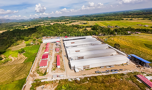 Proyecto de cultivo en jaulas de ponedoras en Filipinas