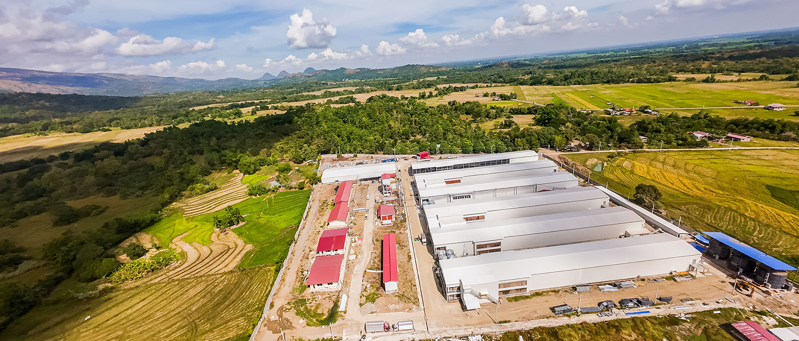 Proyecto de cultivo en jaulas de ponedoras en Filipinas